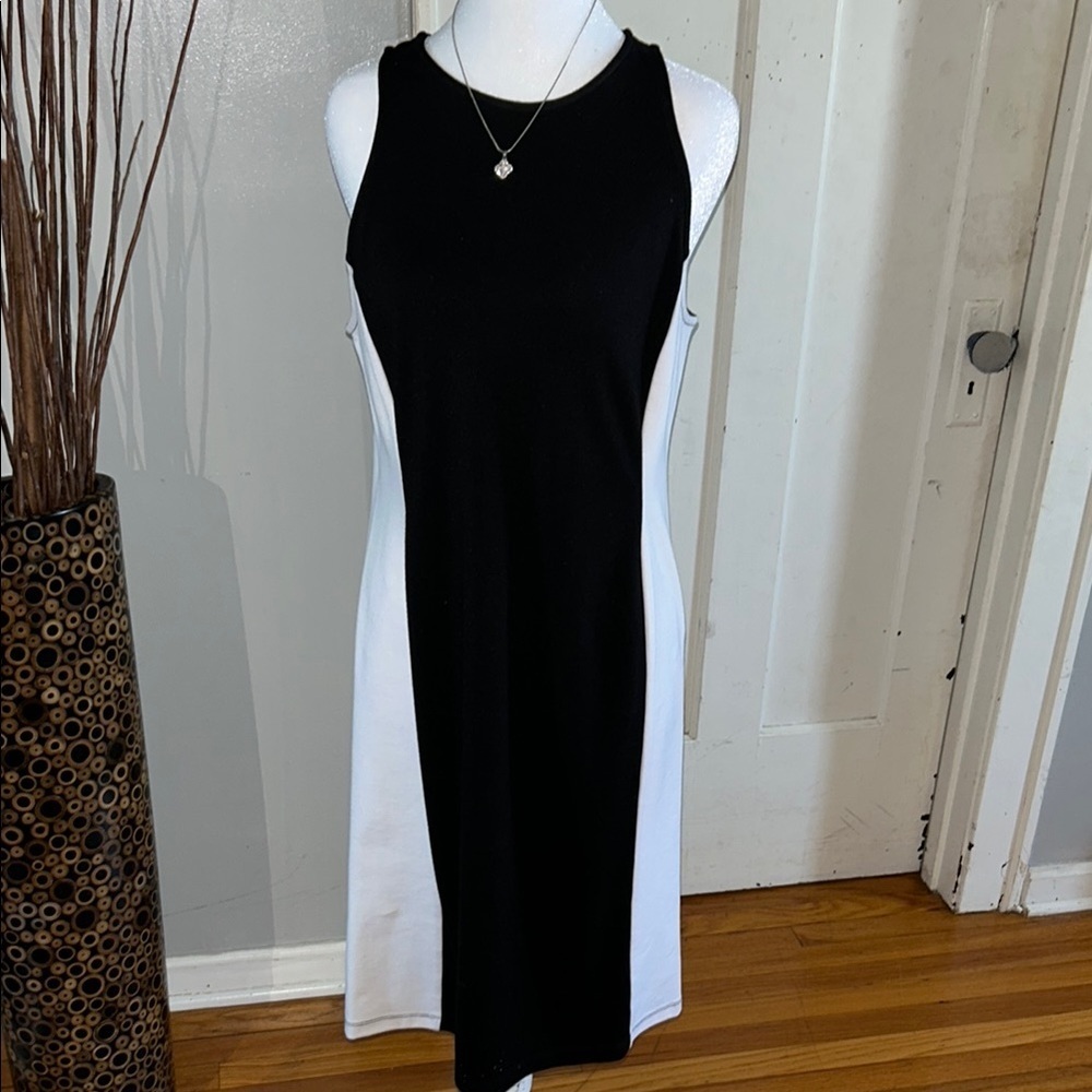 Lauren  Ralph Lauren Dress
